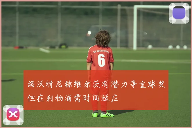 诺沃特尼称维尔茨有潜力争金球奖但在利物浦需时间适应