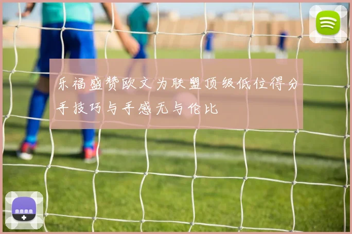 乐福盛赞欧文为联盟顶级低位得分手技巧与手感无与伦比